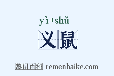 义鼠是什么意思的图片